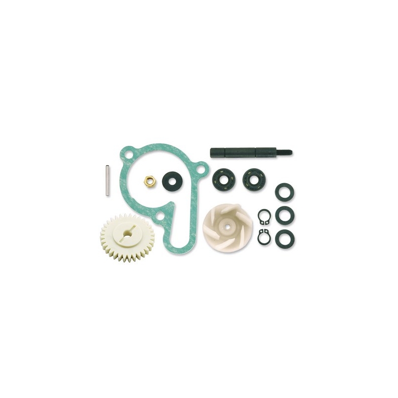 Vicma Kit de réparation de la pompe à eau 11420 soldes