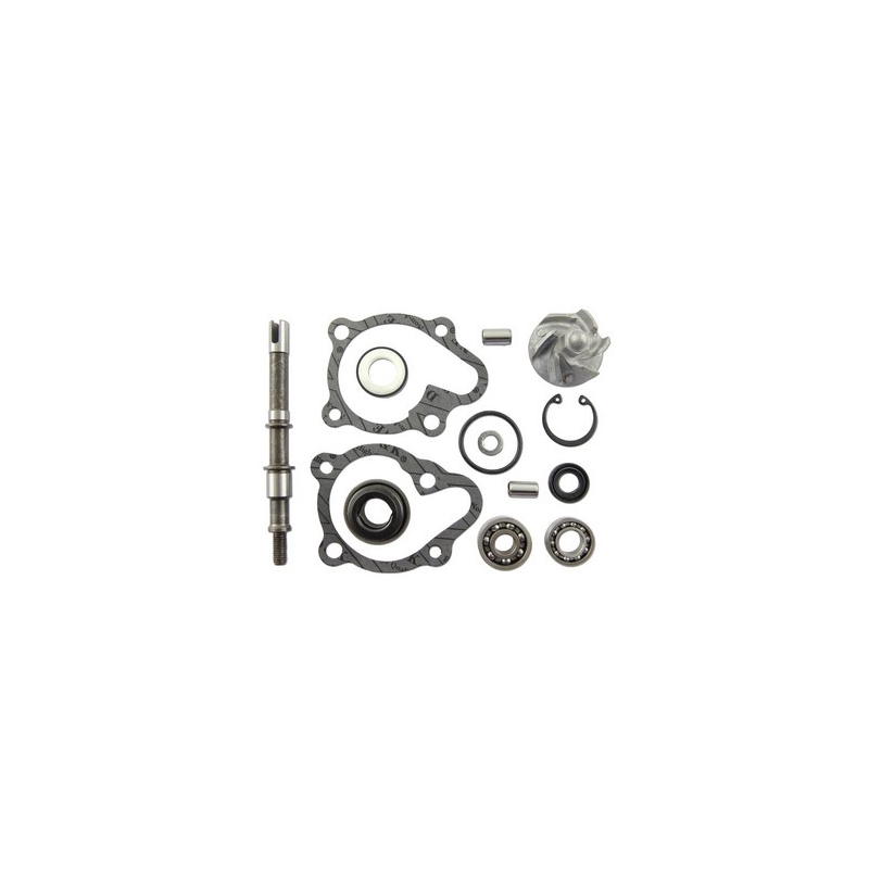 Kit de réparation de pompe à eau Vicma 11625