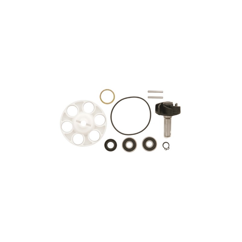 Kit de réparation de pompe à eau Vicma 6215
