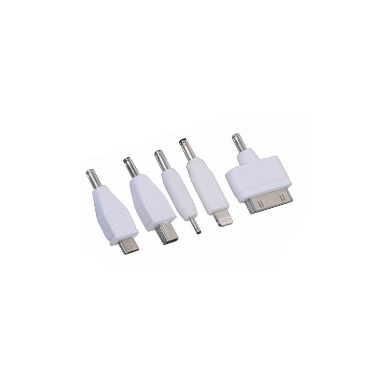 Chargeur de téléphone 12V 2,1A (iPhone 4/5/6, micro USB, Nokia)
