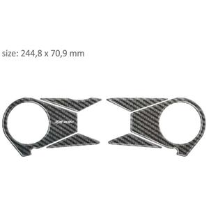 Lunettes de protection en carbone - Kawasaki ZX 10R (06-10) soldes