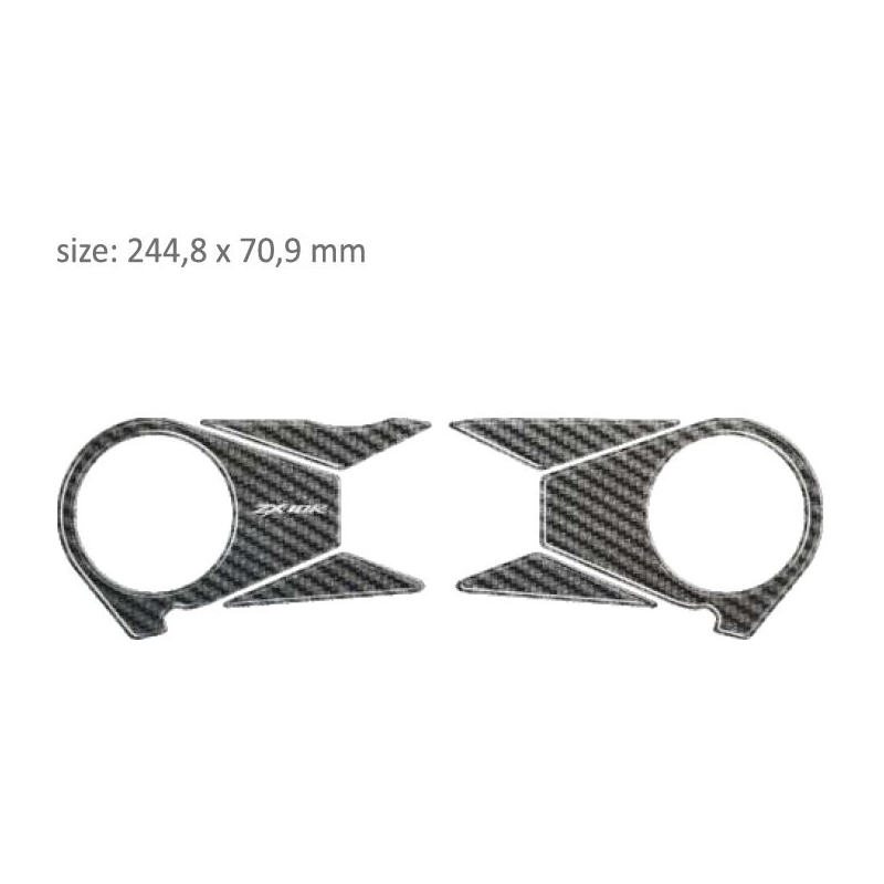 Lunettes de protection en carbone - Kawasaki ZX 10R (06-10) soldes
