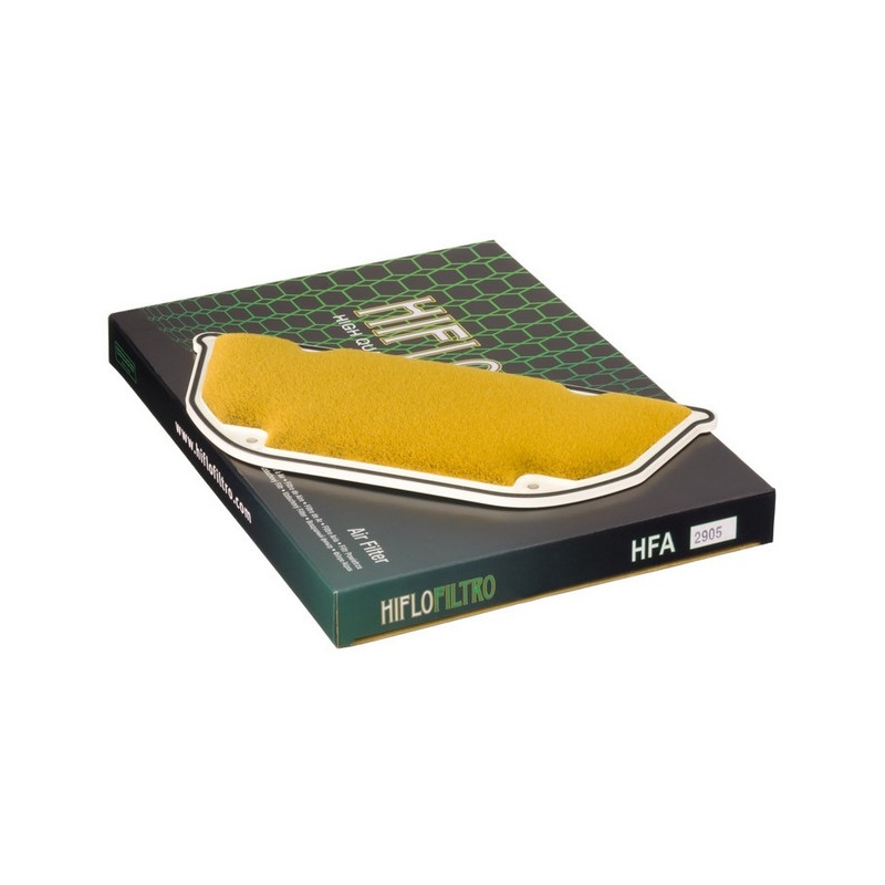 Filtre à air Hiflofiltro HFA2905