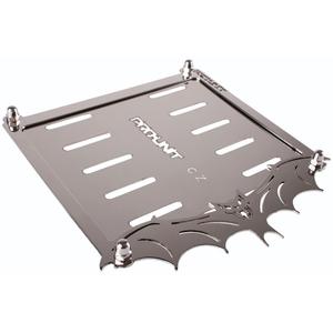 Plaque en acier inoxydable sous la plaque d'immatriculation CZ Bat