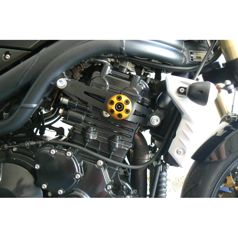 Triumph SPEED TRIPLE 1050 (05-10) Classic