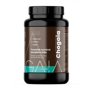 Aliment instantané GAIA Chogaia 1 kg chocolat