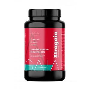 Aliment instantané GAIA Stragaia 1 kg fraise