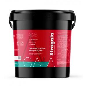 Aliment instantané GAIA Stragaia 4 kg fraise