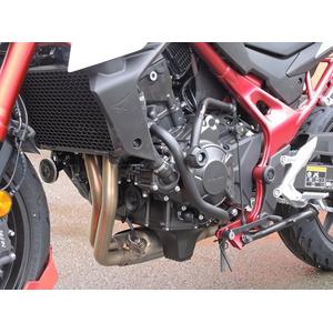 Ochranné rámy motoru RDMOTO černá (with protectors)