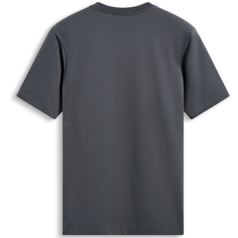 T-shirt gris Alpinestars Waving Patch CSF