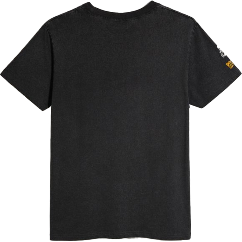 T-shirt Dakar VINT 03 graphite