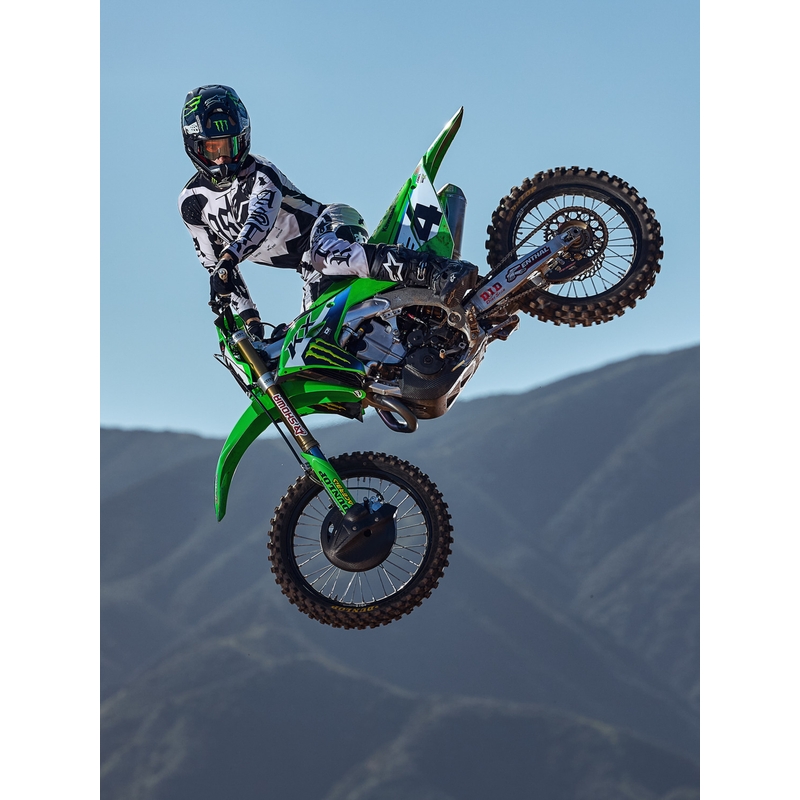 Maillot de motocross Alpinestars Techstar édition limitée Wolf Dust sable noir