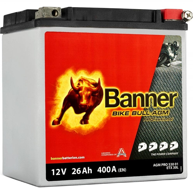 Batterie AGM Banner Bike Bull AGM PROfessional AGM PRO 530 01 / BETX30L - ETX30L