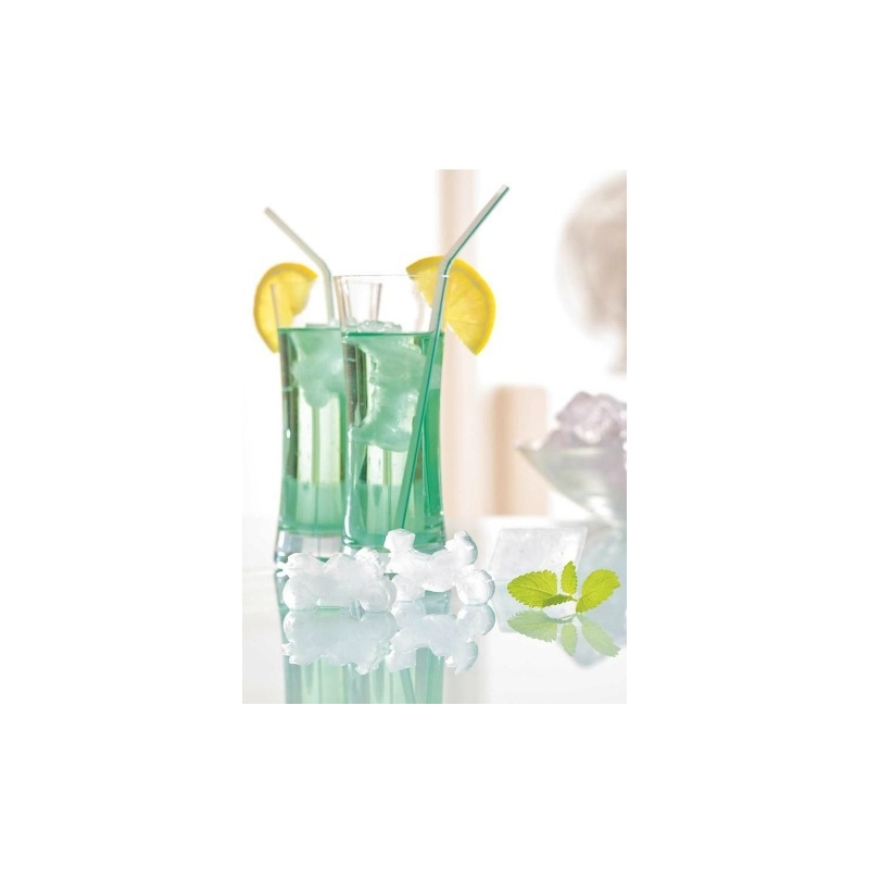 Moule pour glace et chocolat